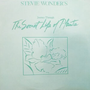 Lp - Stevie Wonder - Stevie Wonder's Journey Through The Secret Life